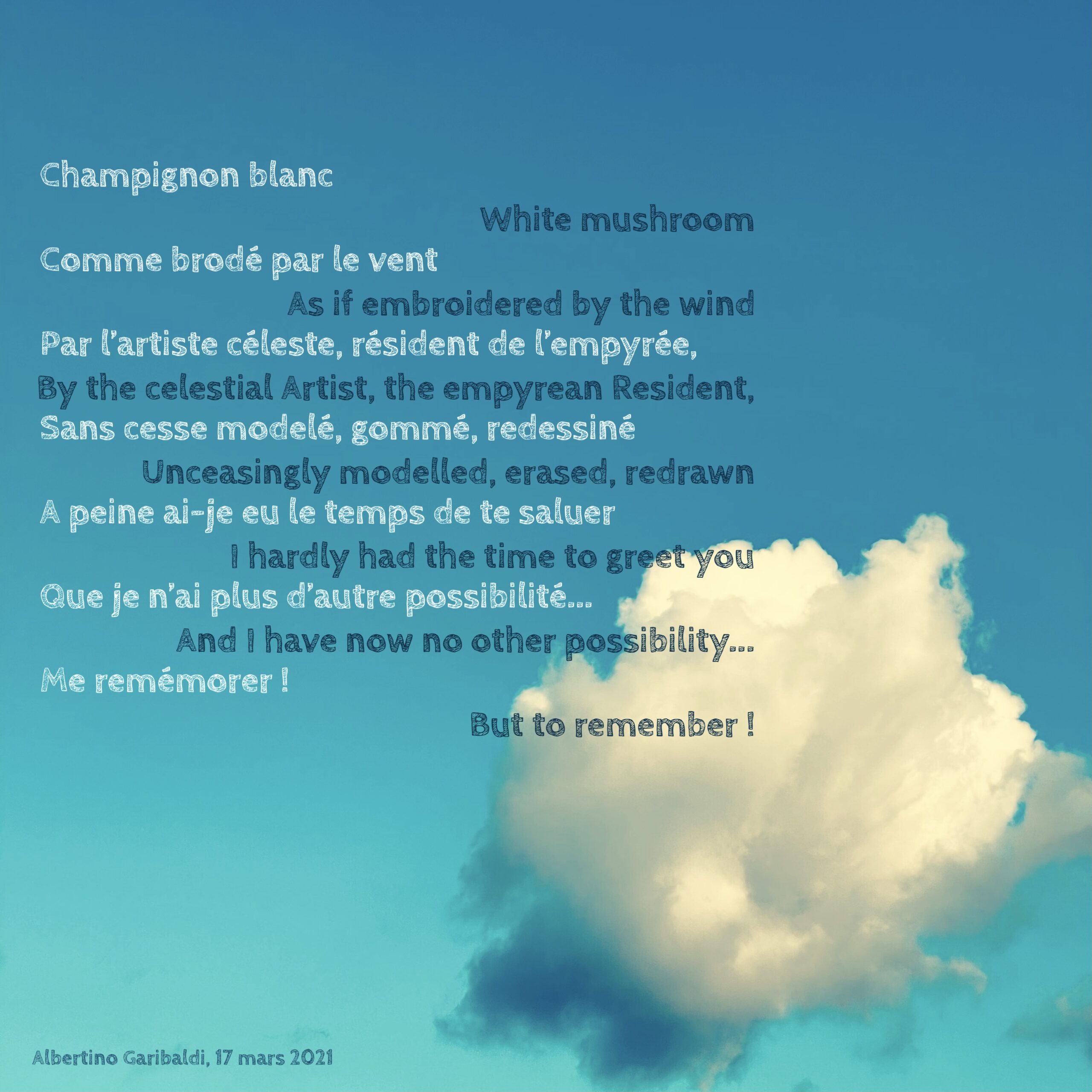 Champignon blanc, comme brodé par le vent, par l'artiste céleste, résident de l'empyrée, sans cesse modelé, gommé, redessiner, A peine ai-je eu le temps de te saluer que je n'ai plus d'autre possibilité... me remémorer!