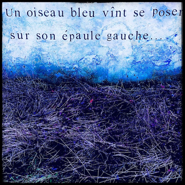 Poésie bleue_sq