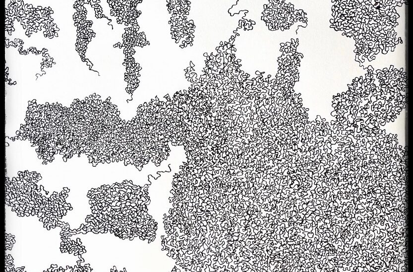 Cartographie