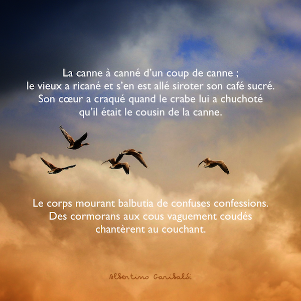 La canne