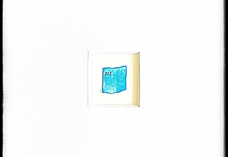 211_sq