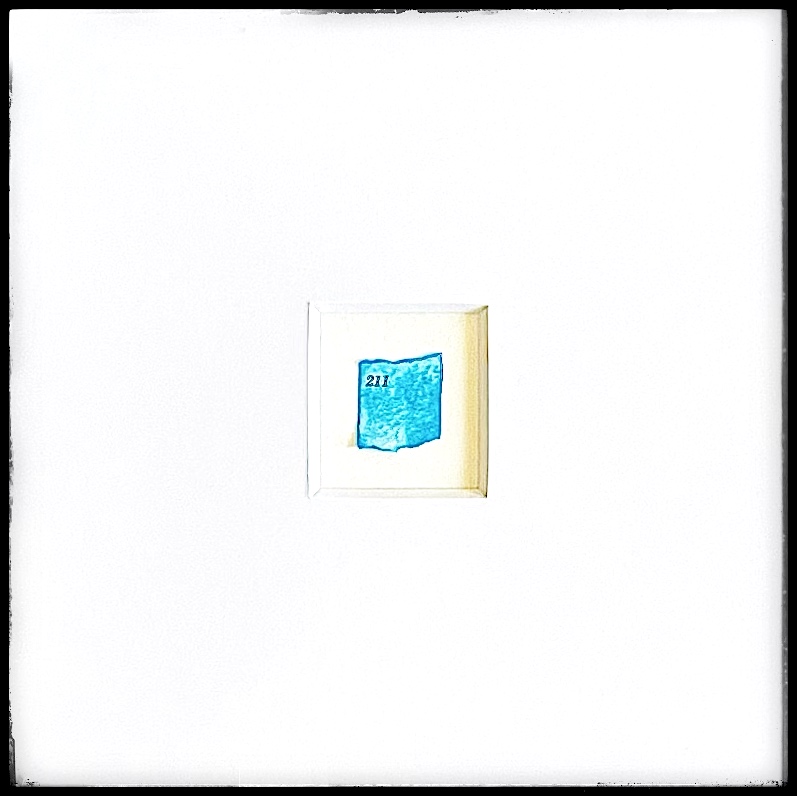 211_sq