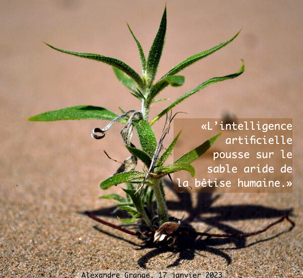 Intelligence artificielle, 14.2023_originale